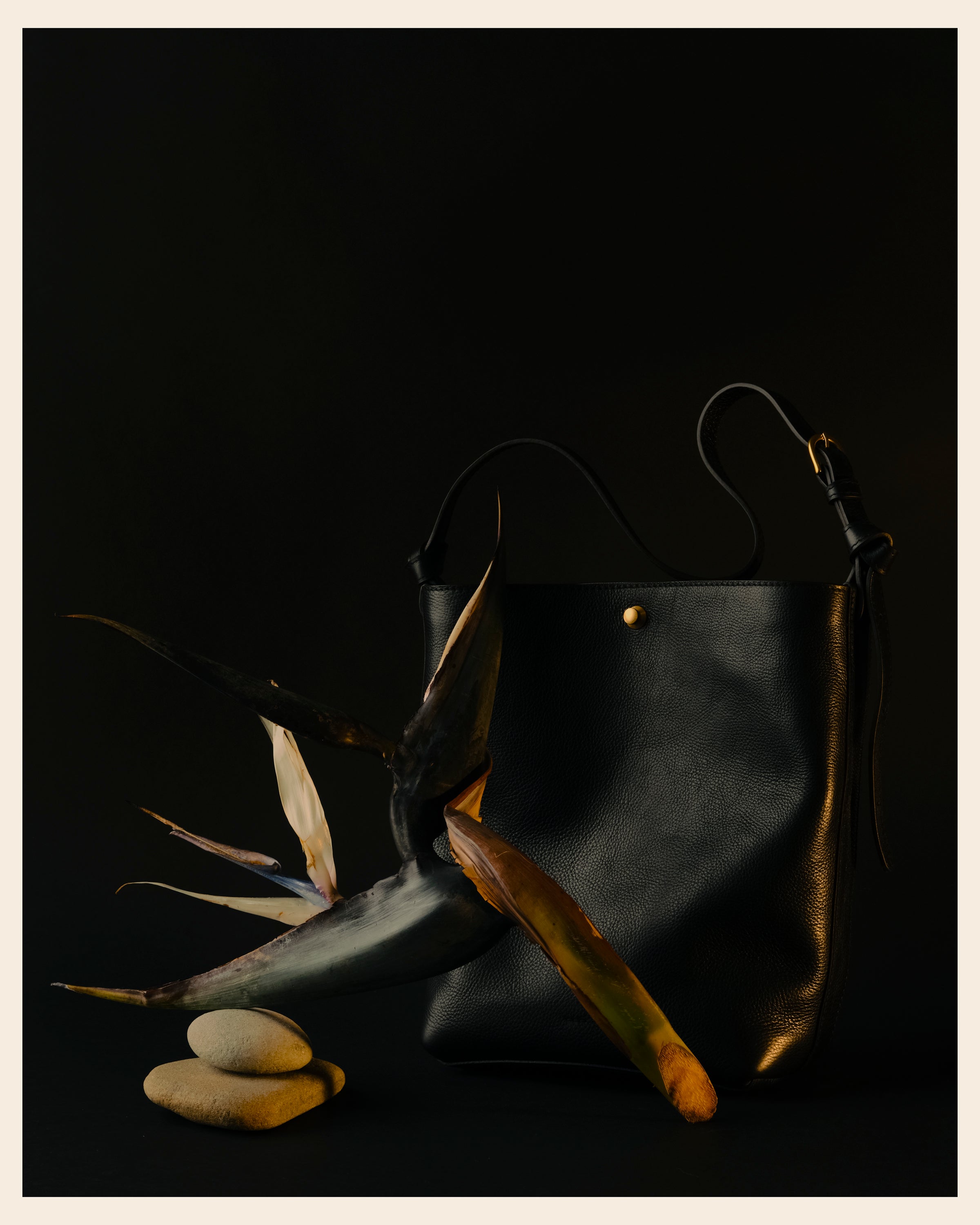 Little Lee in Black – LINDQUIST