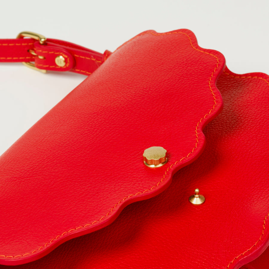 Limited Edition Scallop Shell Mezzo in Persimmon
