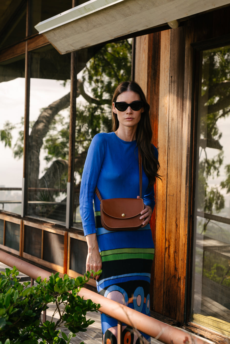 Carla Colour Ayres Sunglasses in Tortoise
