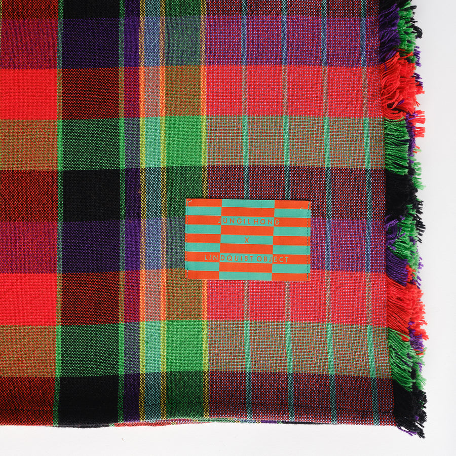 Picnic Cotton Blanket in Ribbon Plaid