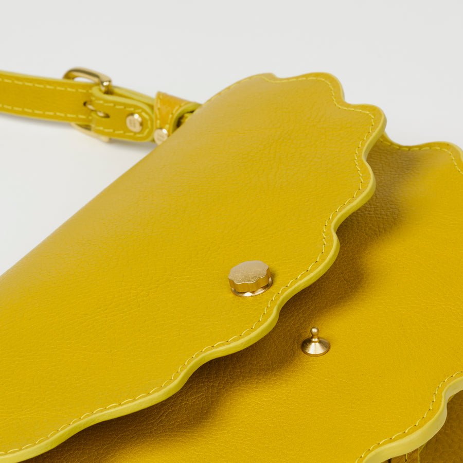 Limited Edition Scallop Shell Mezzo in Chartreuse