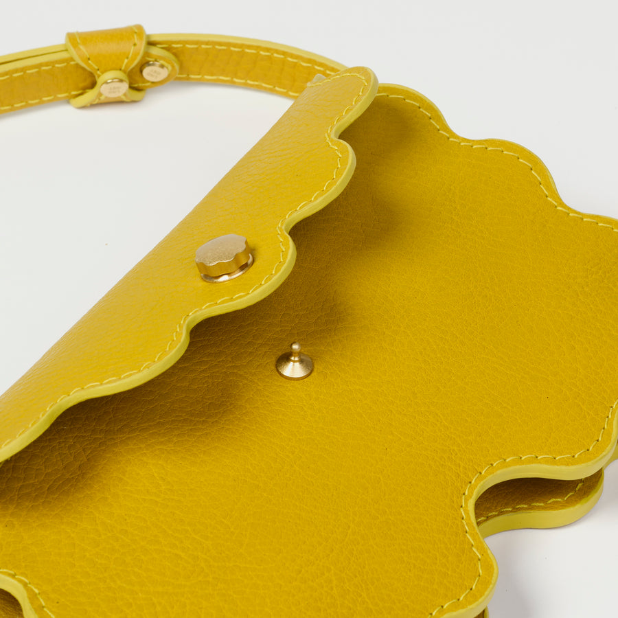 Limited Edition Scallop Shell Faba in Chartreuse