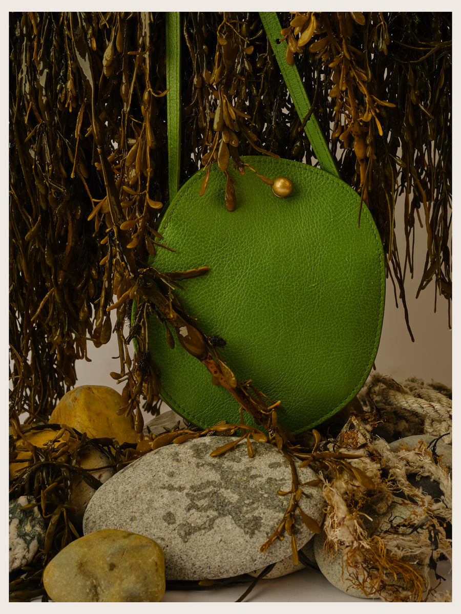 Mini Eggi in Kelp