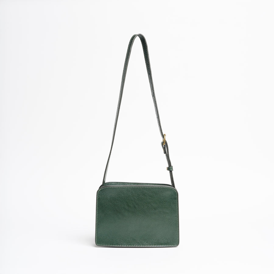 Anni in Pine