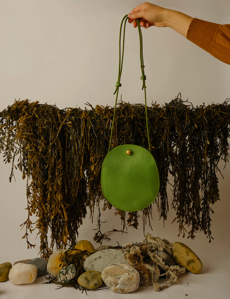 Mini Eggi in Kelp