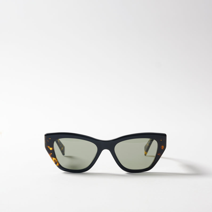 Carla Colour Ayres Sunglasses in Tortoise