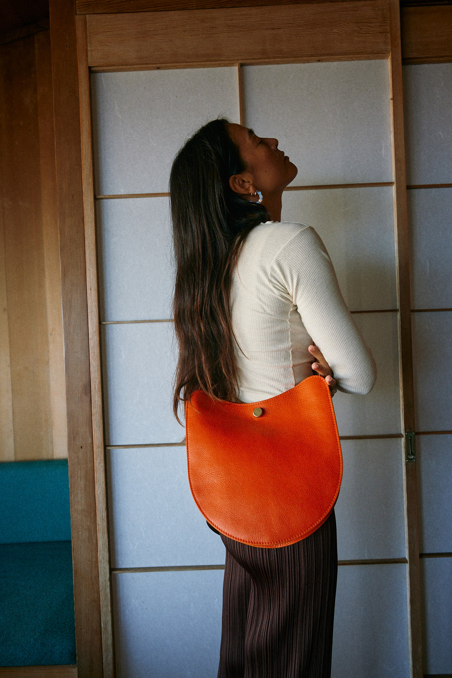 Savoie in Carrot