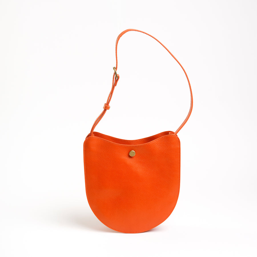 Savoie in Carrot