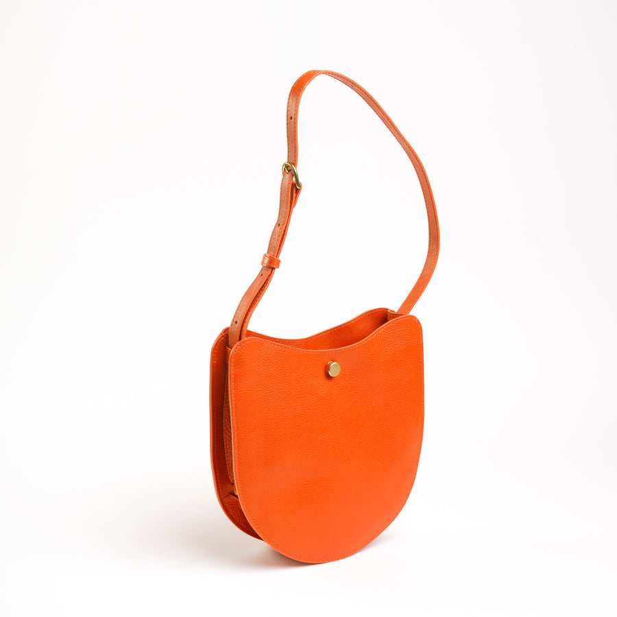 Savoie in Carrot