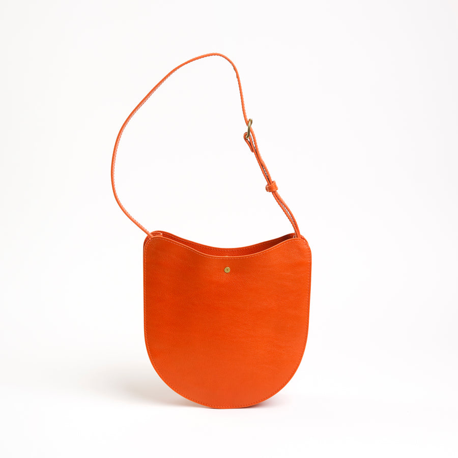 Savoie in Carrot