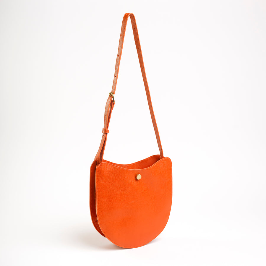 Savoie in Carrot