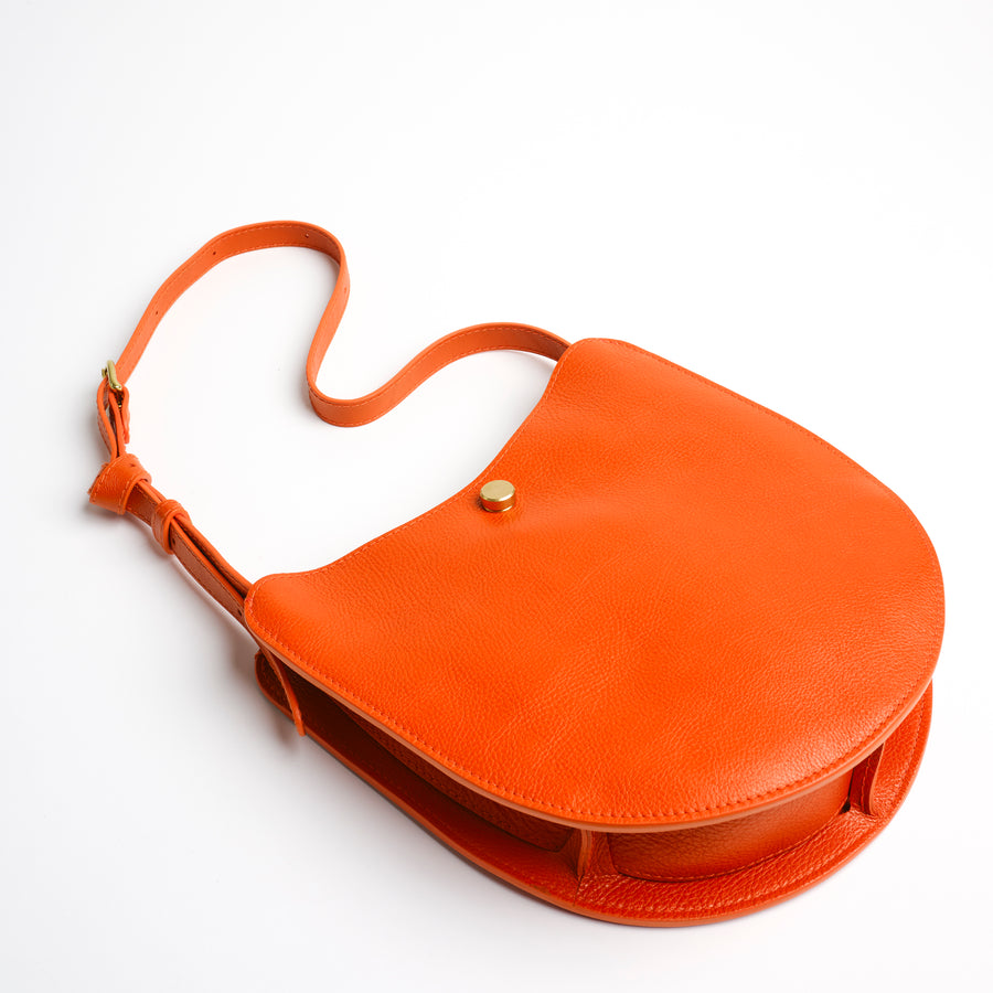 Savoie in Carrot