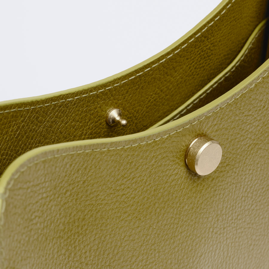 Savoie in Green Ochre